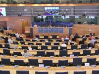 Cazul românilor plecați la cules de sparanghel în Germania a ajuns în Parlamentul European