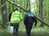 Caz șocant în județul Botoșani. Animale găsite spânzurate într-o pădure