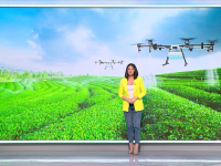 iLikeIT. Drone, roboți și alte gadgeturi inedite pentru agricultură, prezentate de Iulia Ionescu