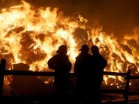 Un bătrân din Botoșani a murit, în prima zi de Crăciun, după ce locuinţa i-a luat foc
