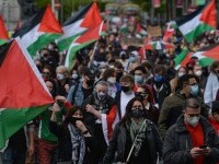 Manifestații pro-palestiniene - 1