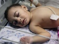 bebelus, Fasia Gaza, Israel
