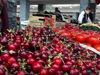 Fructele și legumele românești de mai vor ajunge în pieţe abia în iunie. Care e motivul