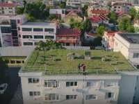 Agricultura urbană devine o modă în România. Cât costă să ai o grădină pe balcon