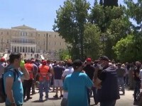 Grecii au protestat împotriva sterilizării animalelor. Sute de oameni au ieșit în stradă
