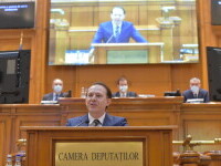 Florin Citu, Parlament