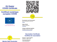 Cum va arăta certificatul european de vaccinare, care va intra în vigoare de la 1 iulie
