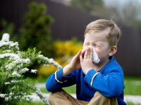 CSID. Cum putem proteja copiii de alergii. Mânuțe murdare sau un câine, cele mai bune variante