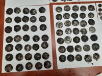 Peste 200 de monede antice au fost descoperite într-o pădure de lângă București