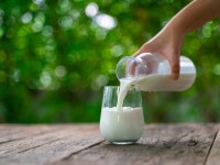O dietă bogată în iaurt și lapte integral te ajută să scapi de kilogramele în plus