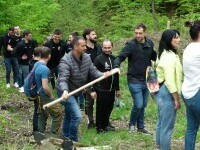 Sute de castani plantați de voluntari în Maramureș, unde pădurile au fost afectate de „cancerul scoarței”