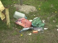 Mormane de gunoi lăsate în urmă după grătarele la iarbă verde de 1 mai. Ambalaje și cauciucuri lăsate în urmă de petrecăreți