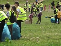 Peste o mie de tone de gunoaie au fost strânse de voluntari într-o pădure de lângă Reghin