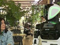 Experiment în România. Câțiva roboți au înlocuit chelnării într-un restaurant din București