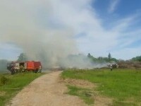 Incendiu de vegetație uscată în Parcul Grozăvești. Locuitorii au primit mesaj RO-ALERT