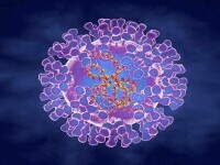 Cum ne protejăm de variola maimuței? Ministrul Sănătății: Recomand utilizarea prezervativului sau chiar abstinența