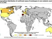 Harta infectărilor cu variola maimuței. ECDC: Riscul de infectare pentru populaţia generală este „foarte scăzut”