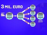 Fraudă de 3 milioane de euro anchetată de Parchetul European în Delta Dunării. 3 oameni de afaceri sunt suspectați