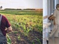 Cum au ajuns oameni nevinovați în spital. Acuze dure la adresa fermierilor din România. „Specie de giboni lacomii”