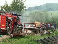 Sute de oi și miei au ars într-un incendiu în Mureș