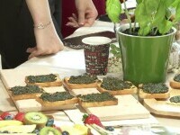 Inovații la un concurs culinar din Cluj. De la brânza cu cafea verde până la salam de mangaliță