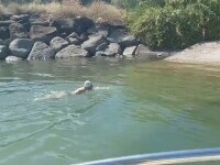 O nouă performanță a lui Avram Iancu. A traversat înot Marea Galileii