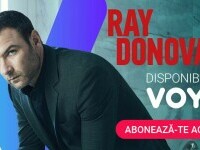 ray donovan