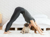 puppy yoga