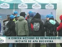 (P) A cincea acțiune de reîmpădurire inițiată de Apa Bucovina