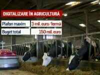 Ferme românești modernizate cu bani europeni. Ce fel de roboți rezolvă problema crizei forței de muncă