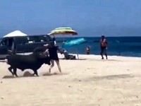 Turistă atacată de taur pe o plajă din Mexic. Greșelile repetate care au adus-o direct în coarnele animalului furios