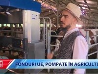 Cât de greu este pentru un fermier român să obțină fonduri europene. Fermele cu certificat BIO au cele mai mari avantaje
