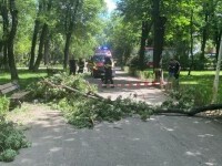 Un copac a căzut peste doi tineri, în Parcul Bazilescu. Fata, aflată în scaun cu rotile, este în comă indusă