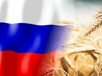 produse agricole rusia