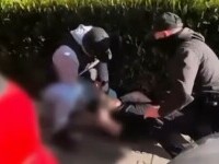 Droguri aduse din Spania, prin curier, confiscate de polițiști. Urmau să ajungă în stațiunile de pe litoral