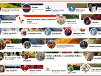 Site-uri oficiale ale statului român, vizate de atacuri cibernetice pentru răspândirea de știri false. Rusia ar fi implicată