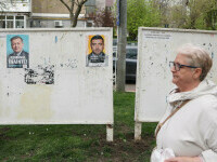 afise electorale