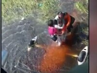 Cinci pasageri ai unui avion, blocaţi într-o mlaştină plină cu caimani după o aterizare de urgenţă. Ce a urmat | VIDEO