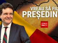 Nicusor Dan, alegeri prezidentiale