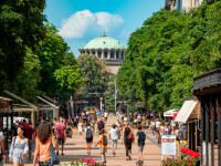 sofia