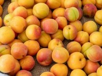 Caisele: beneficii pentru sănătate, contraindicații și valori nutriționale. De ce sunt considerate un superaliment