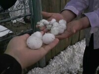 „Grindina cât oul de găină” a făcut ravagii în România. „Mașina e ciuruită”