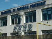 gradinita, constanta