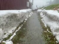 Vremea extremă a devastat livezile și culturile în multe zone ale țării. Programul anti-grindină a fost suspendat