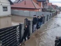 Vreme rea