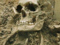 craniu arheologi