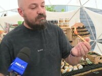 Cel mai mare festival din Europa dedicat terapiei prin plante, deschis în București. Sunt prezenți și șamani
