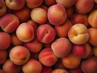 Piersici - valori nutriționale și sfaturi pentru consum. Fructul verii cu cele mai multe beneficii pentru sănătate