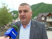 referendum, bistrita