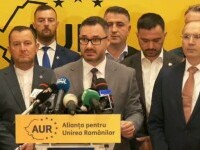 Dan Tănasă, AUR